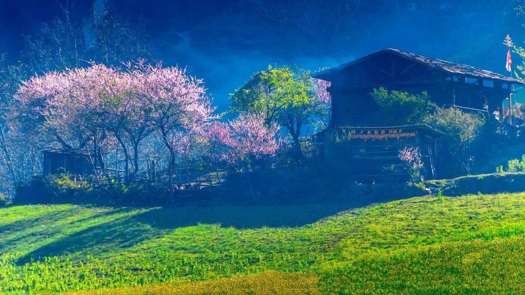 预算8万多可买五菱缤果，可通勤代步，也能跨城出行，关键颜值高